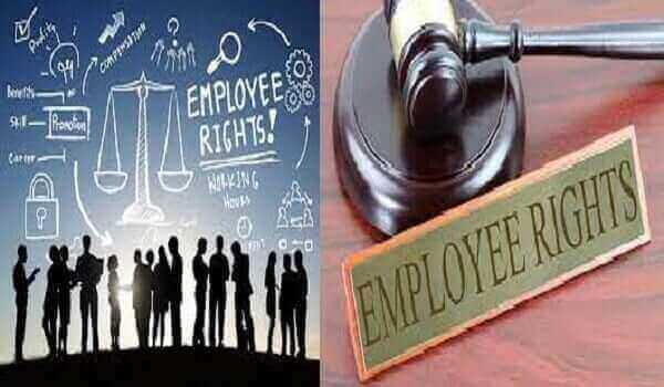 employee-rights-in